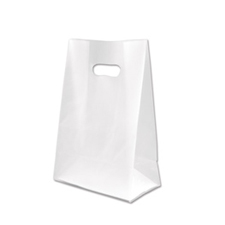 Small clear frosted bag